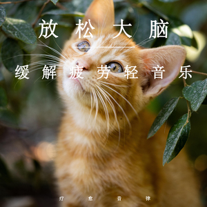 男人无套破女处出血几天能好
